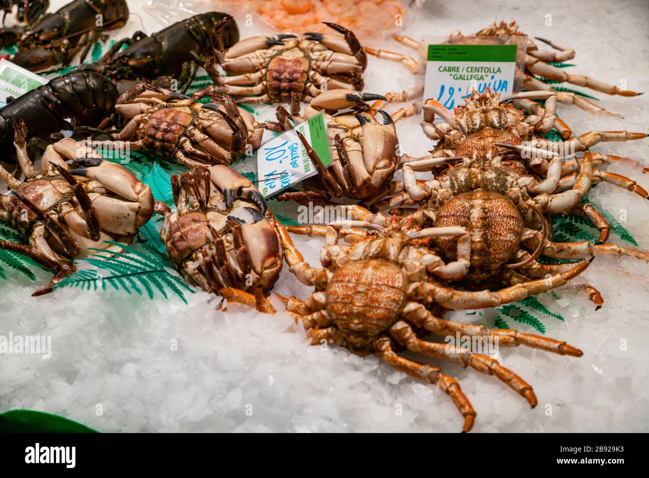 Crabes et Homarus gammarus, homards au marché de la Boqueria Banque D'Images