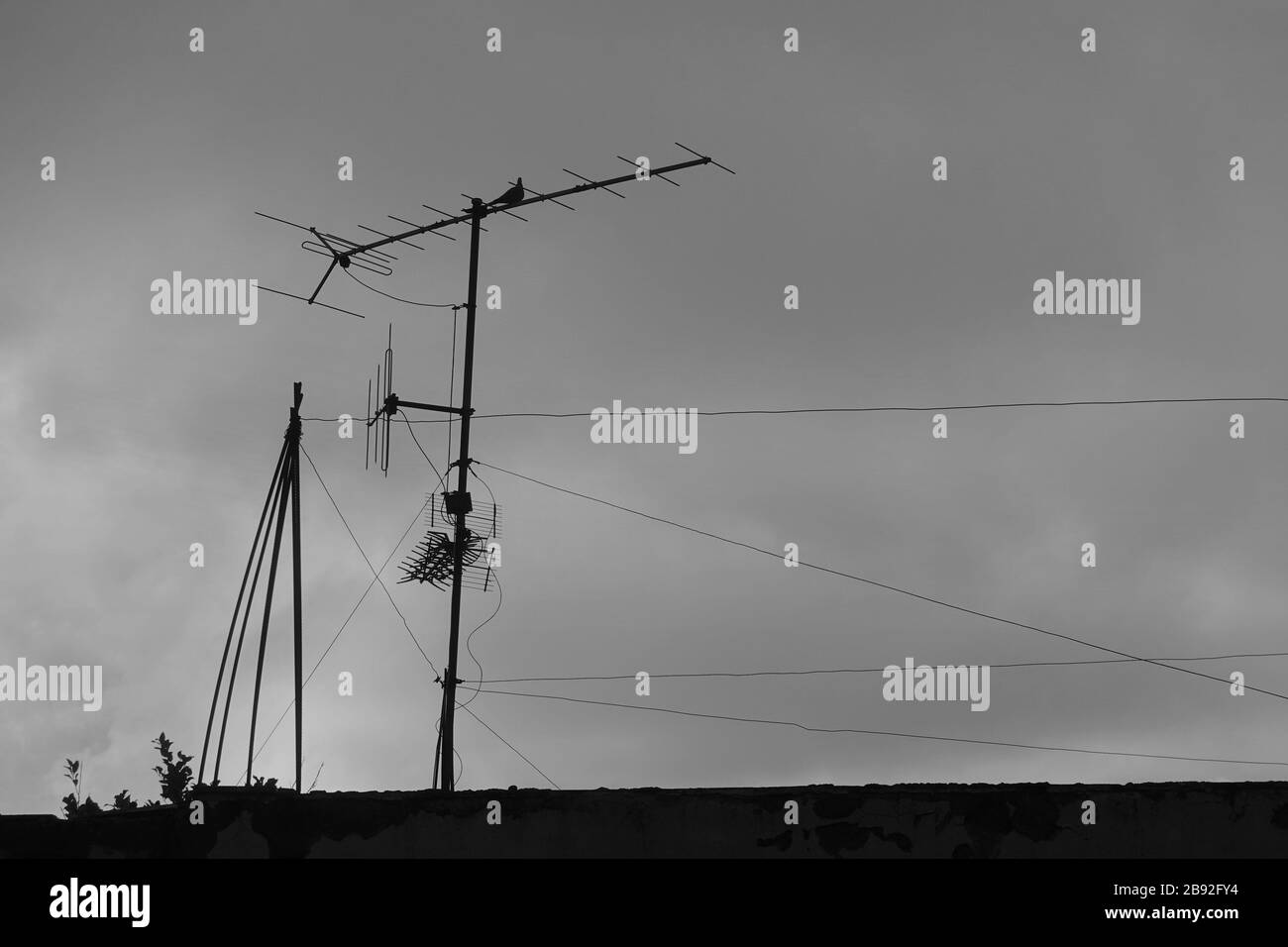 Vieux fils d'antenne de télévision et oiseau sur le toit d'une maison abandonnée. Noir et blanc. Banque D'Images