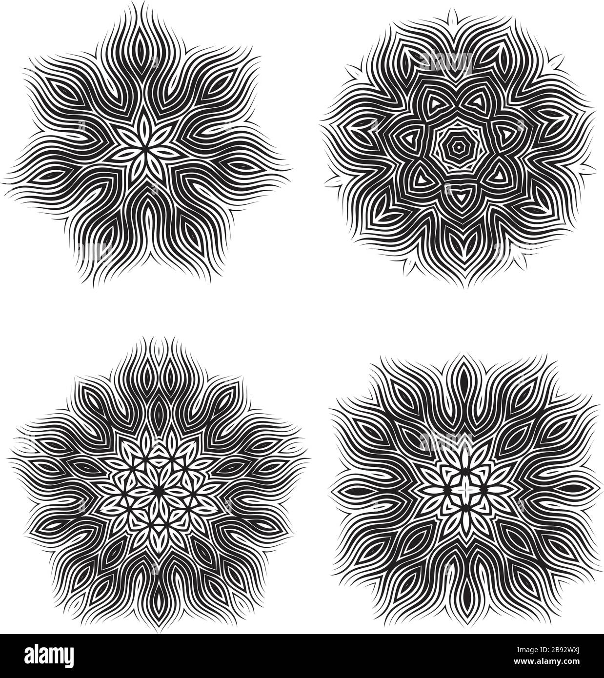 Belle collection d'éléments de fleurs de motif Illustration de Vecteur