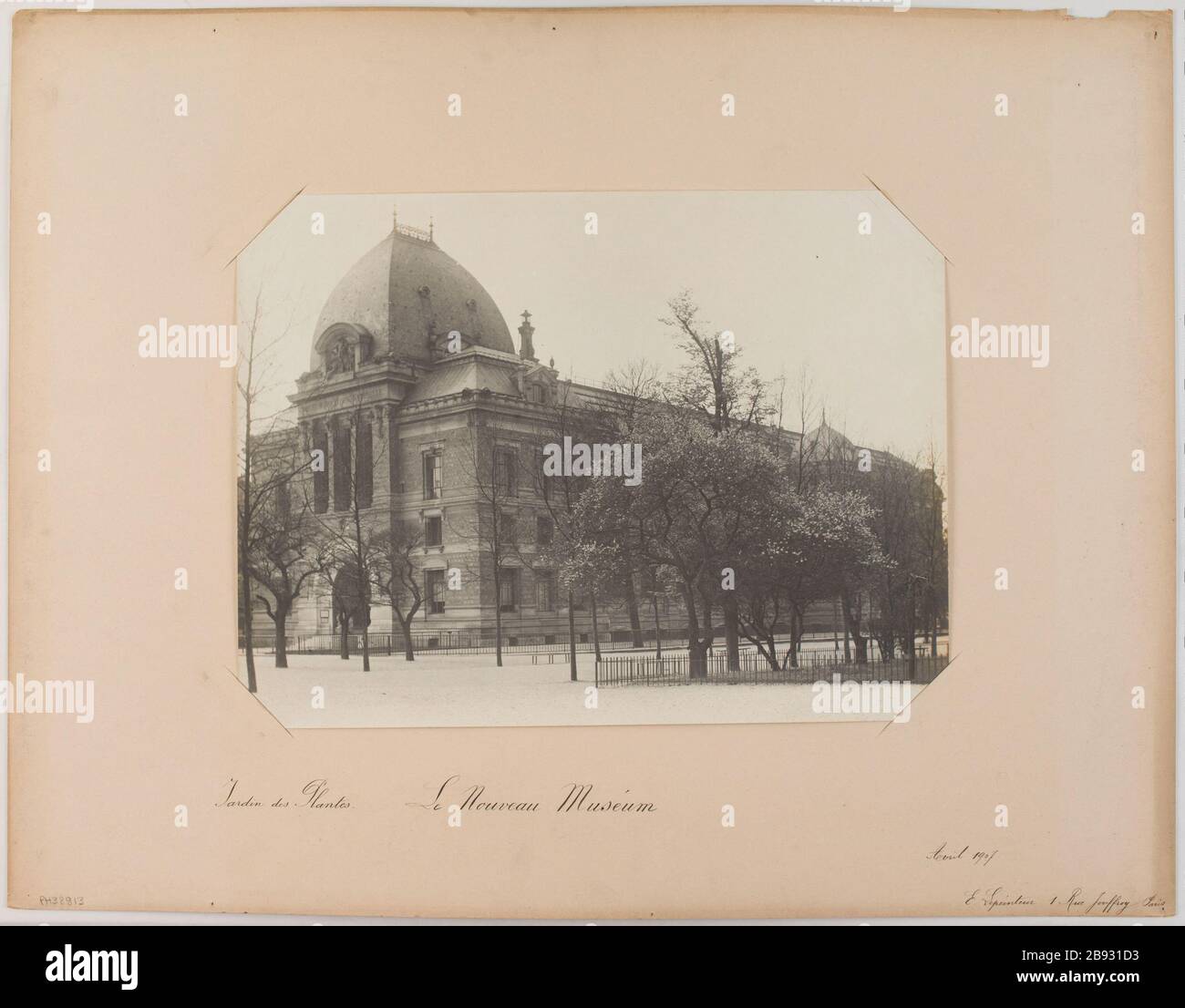 Jardin des plantes / le nouveau musée / avril 1907. Le nouveau Musée, jardin botanique, 5ème arrondissement, Paris. Musée le nouveau, jardin des plantes. Paris (Vème arr.). Photo d'E. Lepeintur. Rage au gélatino-bromure d'argent, avril 1907. Paris, musée Carnavalet. Banque D'Images