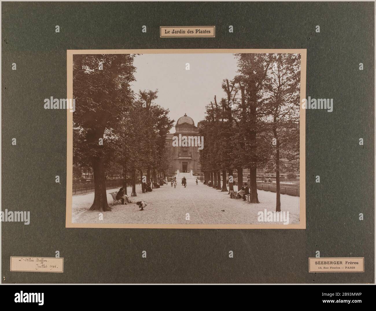 Le jardin des plantes / l'avenue Buffon / juillet 1906. L'avenue Buffon, jardin des plantes, 5ème arrondissement, Paris Séeberger Frères. Le jardin des plantes / l'allée Buffon / juillet 1906. 'L'allée Buffon, jardin des plantes, 5ème arrondissement, Paris'. Rage au gélatino-bromure d'argent. En 1906-07-1906-07. Paris, musée Carnavalet. Banque D'Images