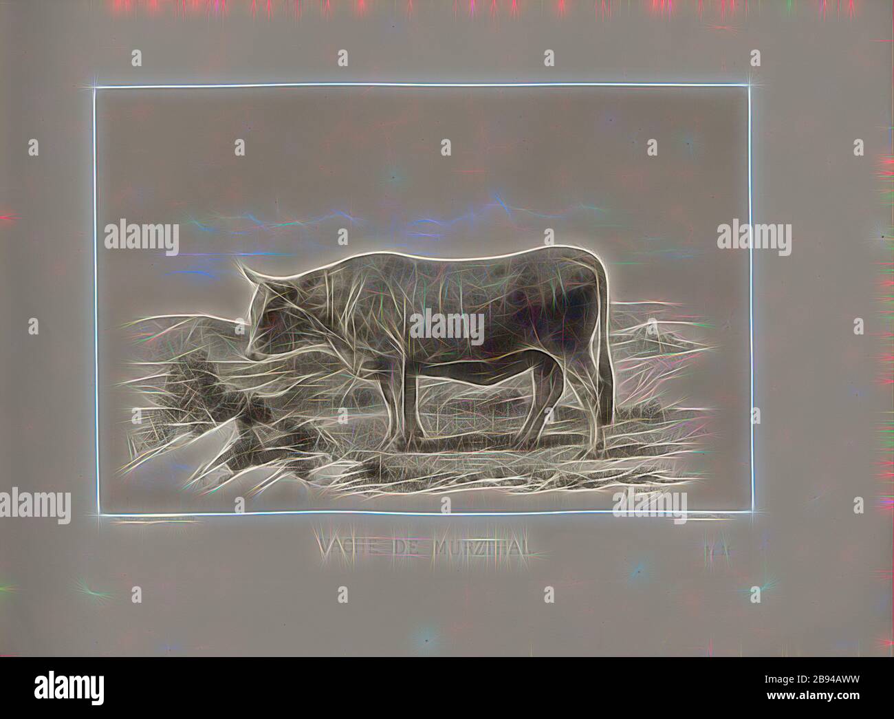 Vache de Mürzthal, race autrichienne, vache, signée: Phot., Nadar Jn, J. Mélin, Baudran, glymmatogr., et chabp, PL. LI, p. 119, Tournachon, Adrien Alban (Phot.), Mélin, J., Baudran (glymmatogr. Et sc.), Émile Baudement: Les courses bovines au concours univers agricole de Paris en 1856: Études zootechniques. BD 2. Paris: Imprimerie Impériale, MDCCCLXI [1861], réimaginé par Gibon, design chaleureux et gai lumineux de la luminosité et du rayonnement des rayons lumineux. L'art classique réinventé avec une touche moderne. Photographie inspirée par le futurisme, embrassant l'énergie dynamique de la technologie moderne, le mouvement, la vitesse et r Banque D'Images