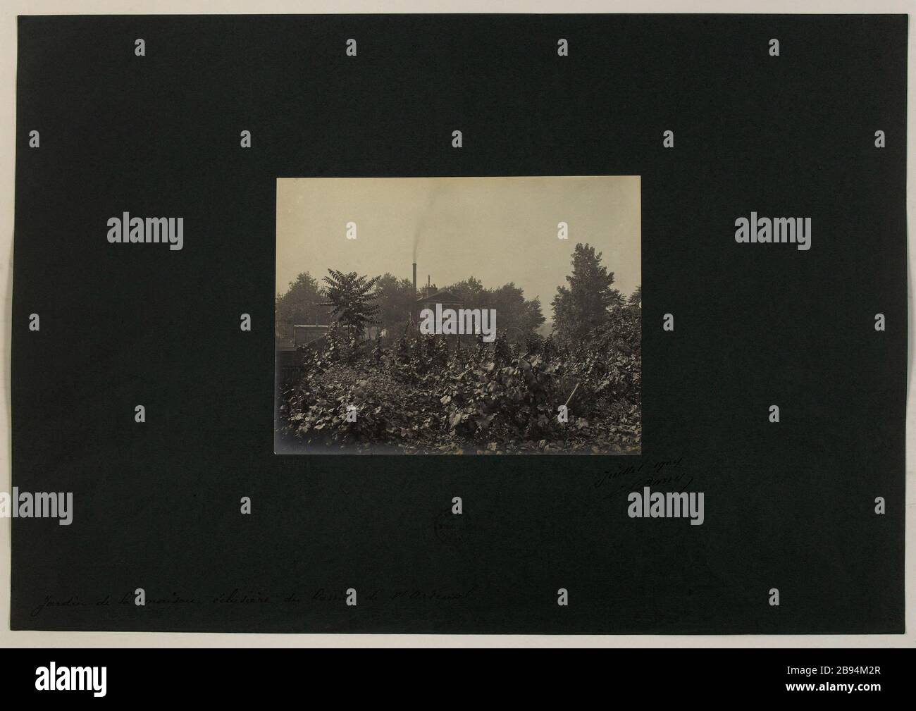 Jardin de la maison de écluses du bassin d'Arsenal / juillet 1904 jardin de la maison de écluses Arsenal Basin, 4ème arrondissement, Paris jardin de la maison éclusière du bassin de l'Arsenal. Paris (IVE arr. ), juillet 1904. Photo de Barry frères. Rage au gélatino-bromure d’argent. Paris, musée Carnavalet. Banque D'Images
