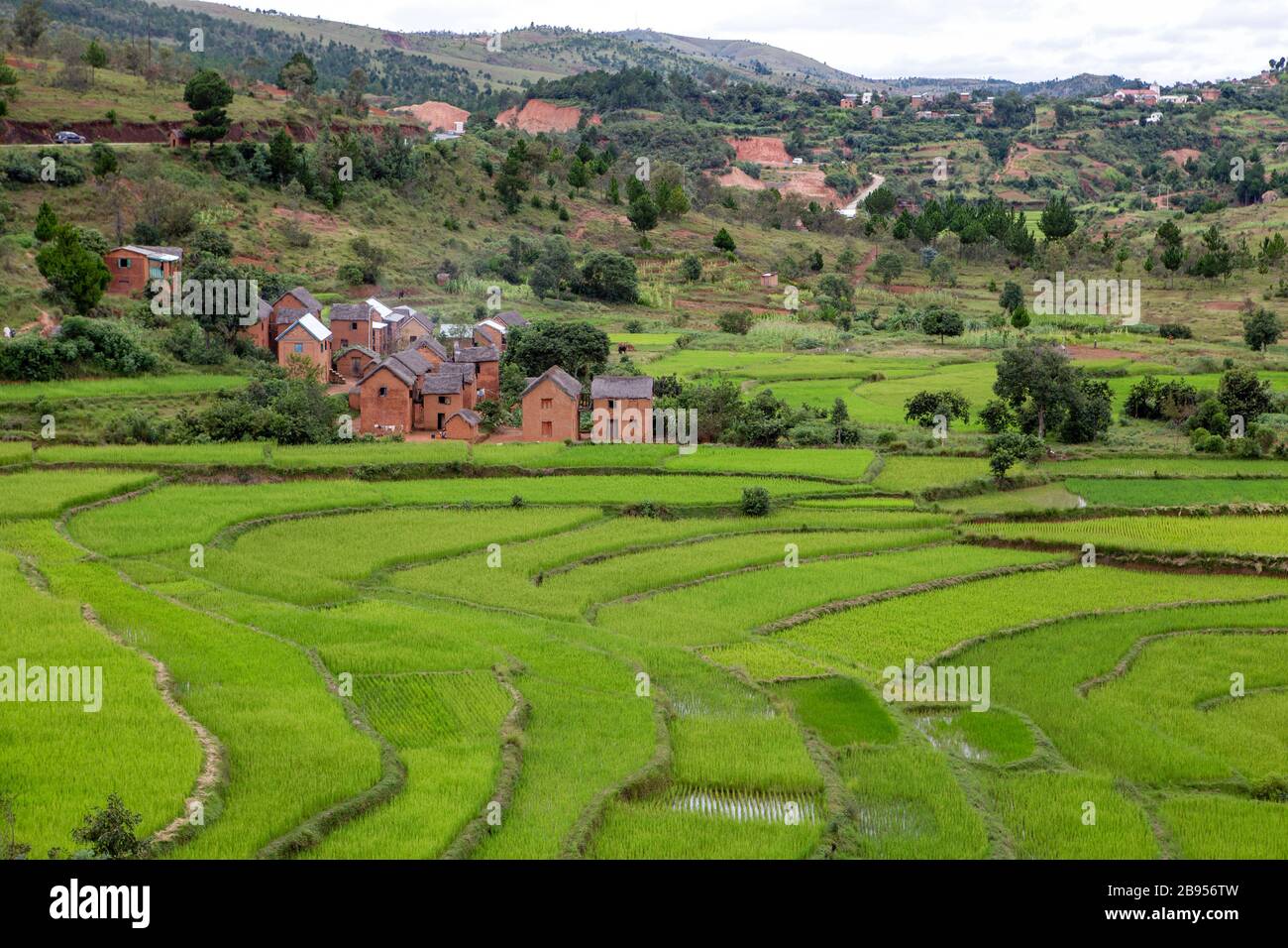 Terrasses de riz et villages typiques sur le plateau entre Antsirabe et Antananarivo Banque D'Images