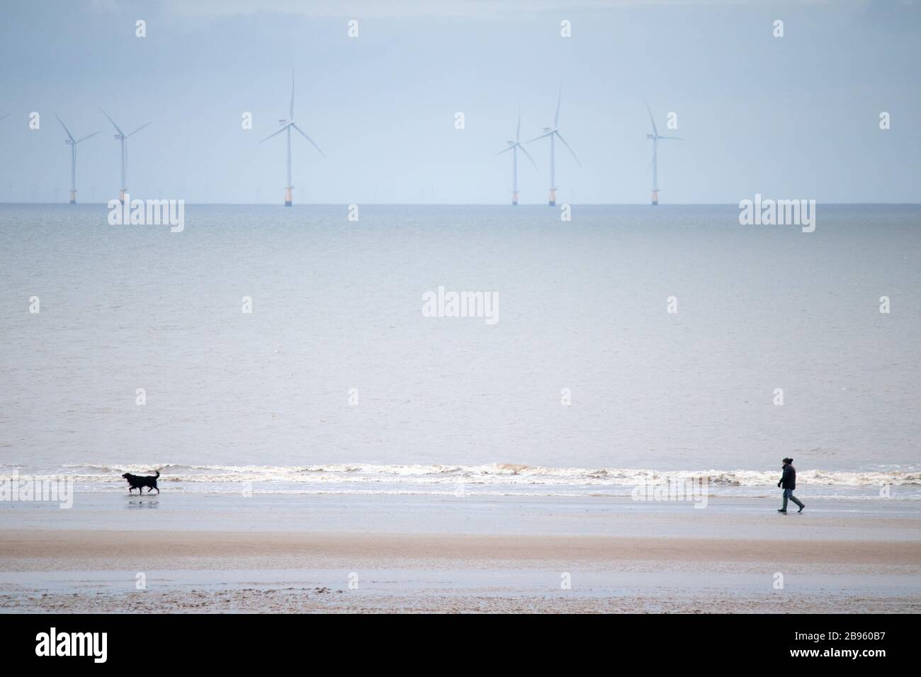 Un homme marche avec son chien le long du rivage de la plage de Skegness avec une vue sur les éoliennes en mer à la distance Banque D'Images