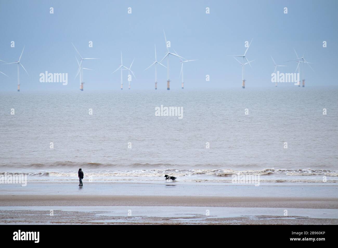 Un homme marche avec son chien le long du rivage de la plage de Skegness avec une vue sur les éoliennes en mer à la distance Banque D'Images