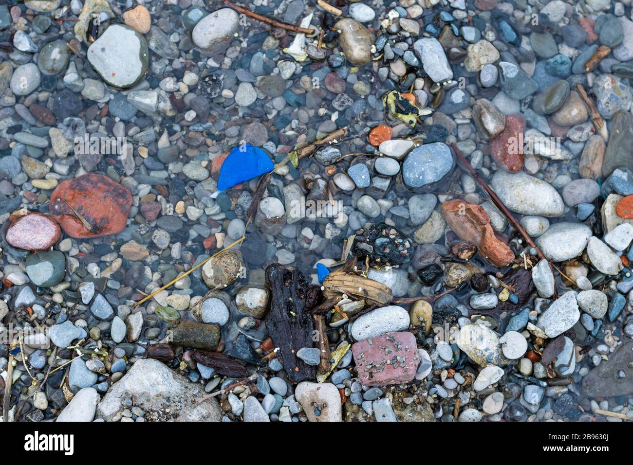 Plastiques et autres polluants, littoral du lac Ontario Banque D'Images