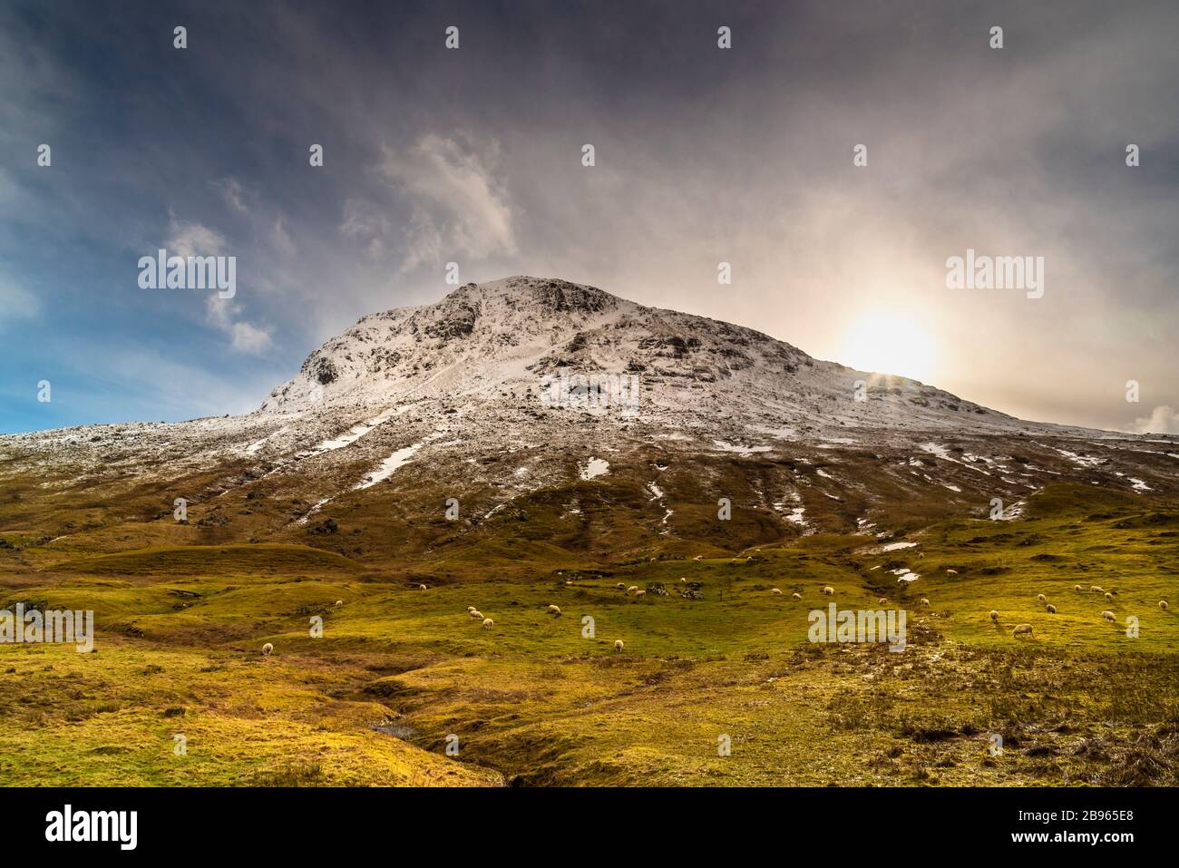 Superbe panorama, vue sur le paysage écossais, Highlands, Ecosse Banque D'Images
