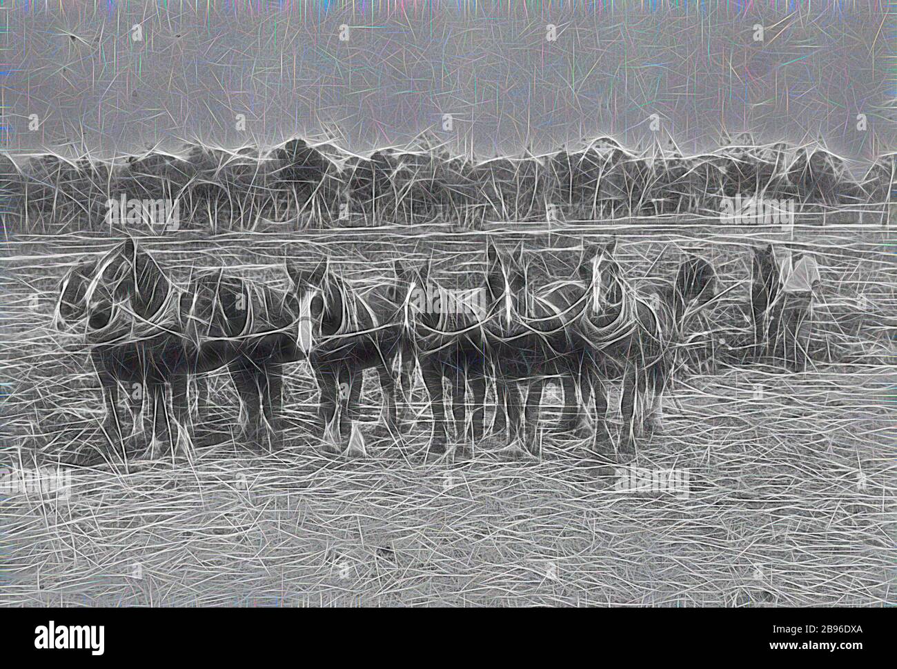 Négatif - Rainbow, Victoria, 1910, une équipe de sept chevaux labourant un champ., repensé par Gibon, design de gai gai chaleureux de luminosité et de rayons de lumière radiance. L'art classique réinventé avec une touche moderne. La photographie inspirée du futurisme, qui embrasse l'énergie dynamique de la technologie moderne, du mouvement, de la vitesse et révolutionne la culture. Banque D'Images