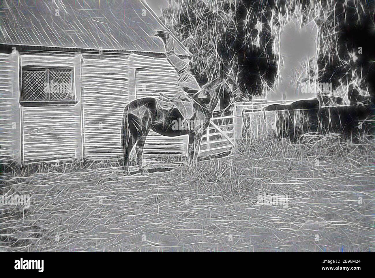 Négatif - Deniliquin District, Nouvelle-Galles du Sud, 1932, UN chacaron faisant une main sur son cheval. En arrière-plan se trouvent les écuries de la gare de 'Wrurah'. Ils sont construits à partir de grumes avec un toit en fer ondulé., repensé par Gibon, design de gai chaud gai de luminosité et de rayons de lumière radiance. L'art classique réinventé avec une touche moderne. La photographie inspirée du futurisme, qui embrasse l'énergie dynamique de la technologie moderne, du mouvement, de la vitesse et révolutionne la culture. Banque D'Images