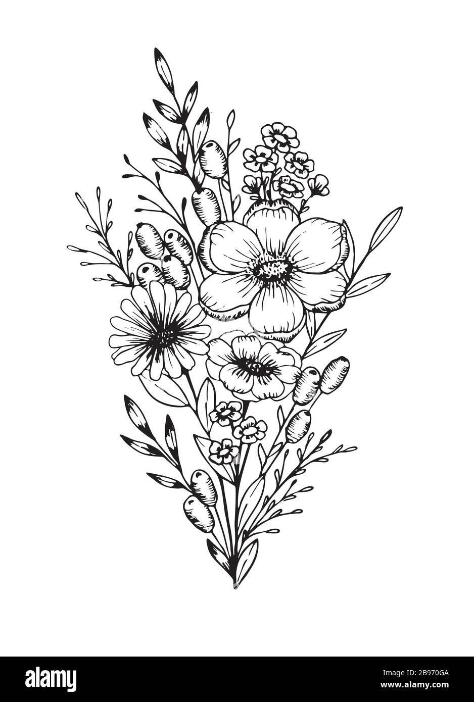 Illustrations botaniques dessinées à la main. Modèle floristique dessiné à la main, cadre avec fleurs délicates, branches, plantes. Illustration de Vecteur