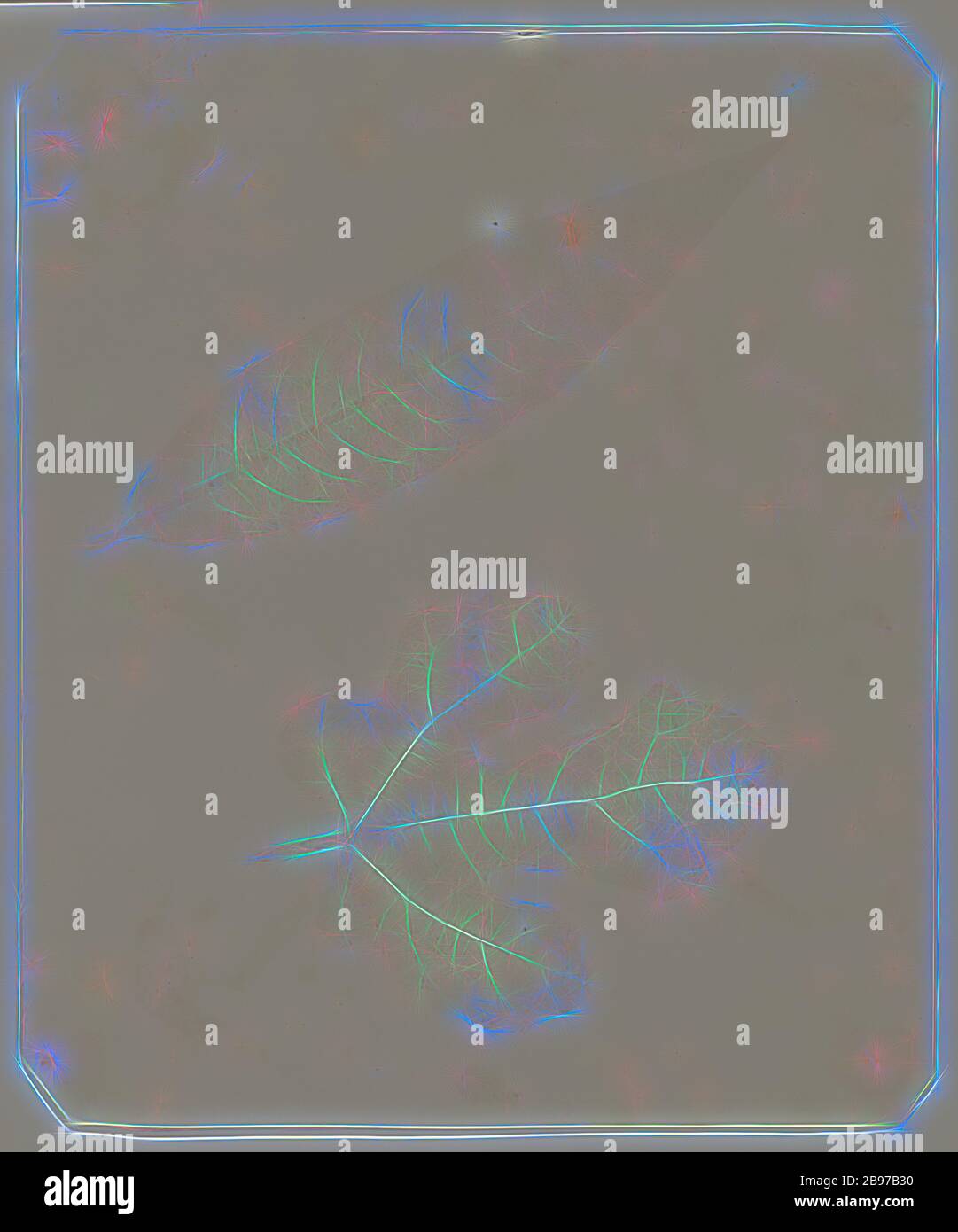 Leaves, William Henry Fox Talbot (anglais, 1800 - 1877), 1842 ou ultérieur, imprimé de papier salé à partir d'un négatif photogénique de dessin, 21,9 × 18,3 cm (8 5/8 × 7 3/16 in.), réinventé par Gibon, design de glanissement chaud et gai de luminosité et de rayons de lumière radiance. L'art classique réinventé avec une touche moderne. La photographie inspirée du futurisme, qui embrasse l'énergie dynamique de la technologie moderne, du mouvement, de la vitesse et révolutionne la culture. Photo Stock