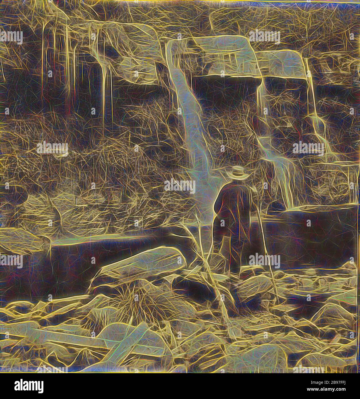 Les Glens des Catskills. The Bastion Fall, Kauterskill Glen, près de la Laurel House., Edward et Henry T. Anthony & Co. (Américain, 1862 - 1902), vers 1864–1866, Albumen argent imprimé, repensé par Gibon, design de gaie chaleureuse de luminosité et de rayons de lumière radiance. L'art classique réinventé avec une touche moderne. La photographie inspirée du futurisme, qui embrasse l'énergie dynamique de la technologie moderne, du mouvement, de la vitesse et révolutionne la culture. Banque D'Images