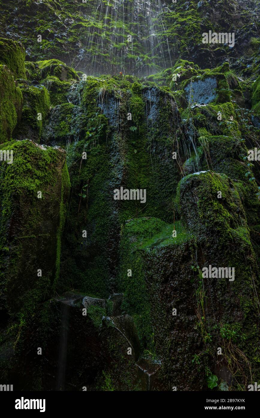 Cascade de l'Oregon Banque D'Images