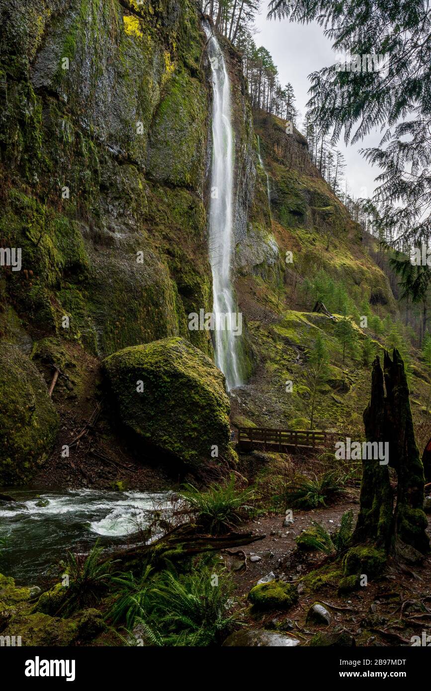 Cascade de l'Oregon Banque D'Images