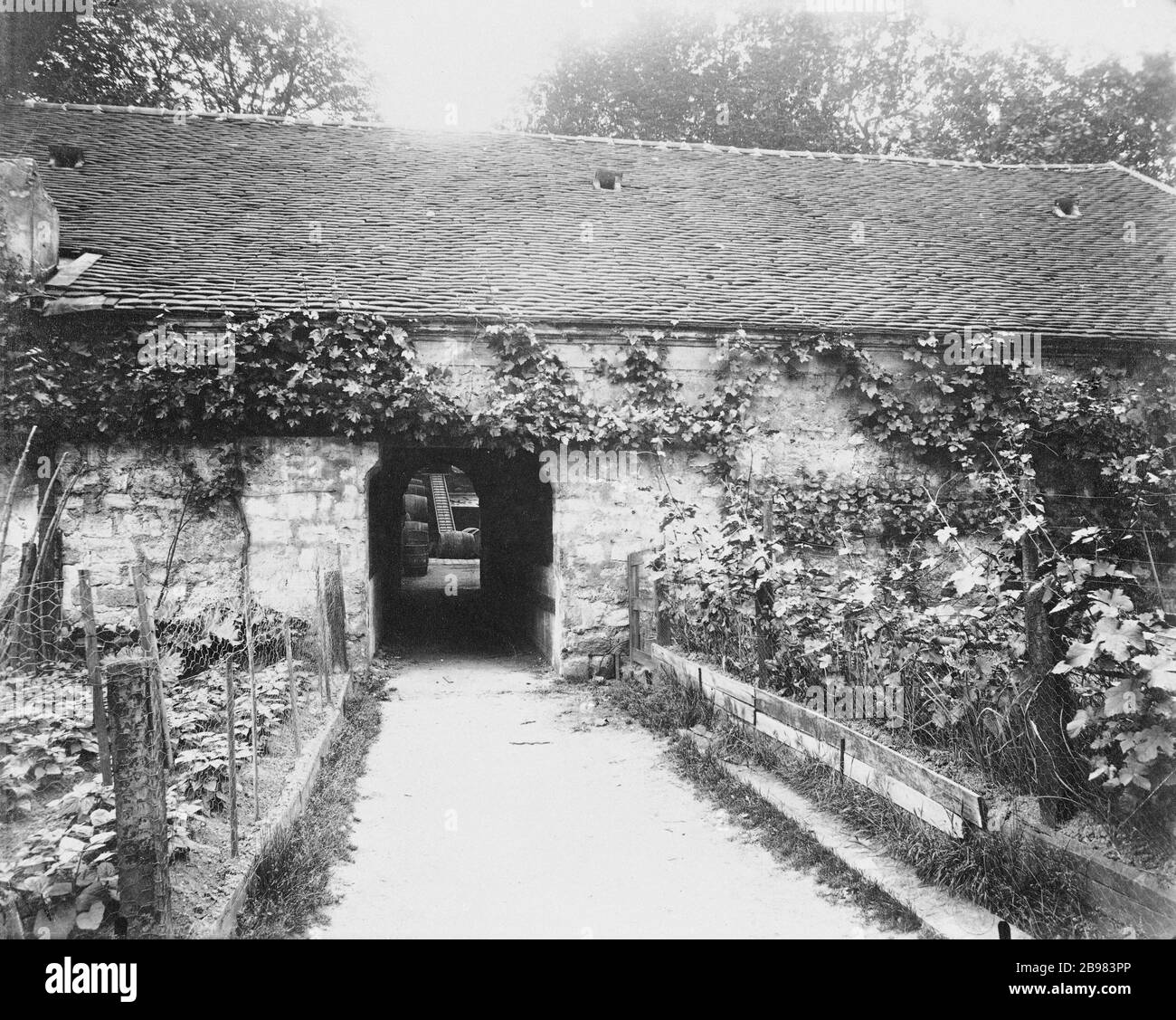 ENTREPÔT BERCY entrepôt de Bercy, rue Laroche. Paris (XIIème arrondissement). Photo d'Eugène Atget (1857-1927). Paris, musée Carnavalet. Banque D'Images