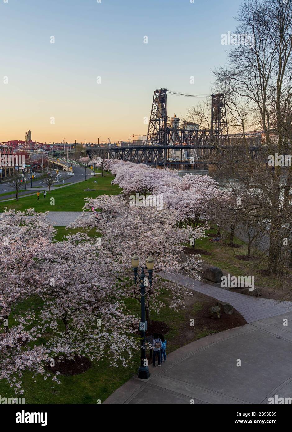 Spring Cherry Blossoms on Waterfront Portland, Oregon, États-Unis Banque D'Images