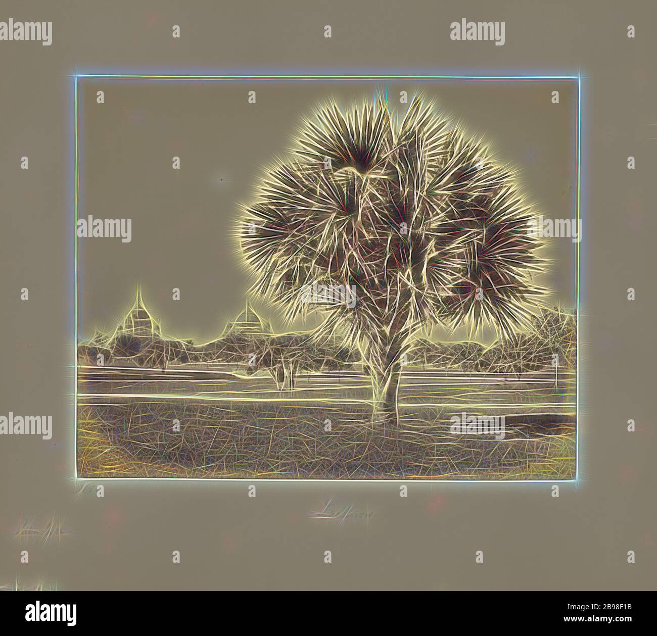 Lucknow, Palm Tree Study, Samuel Bourne (anglais, 1834 - 1912), Lucknow, Inde, 1865–1866, imprimé argent albumine, 23 × 28.8 cm (9 1/16 × 11 5/16 po.), repensé par Gibon, conception de lumière chaude et gaie de la brillance et de la radiance des rayons lumineux. L'art classique réinventé avec une touche moderne. Photographie inspirée par le futurisme, embrassant l'énergie dynamique de la technologie moderne, le mouvement, la vitesse et révolutionnez la culture. Banque D'Images
