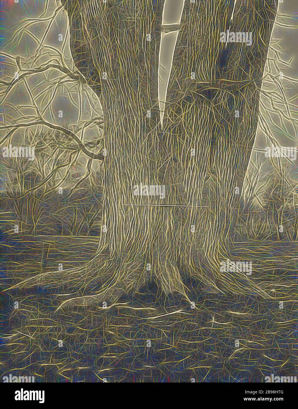 The Big Elm, Lancaster, Henry Brooks (américain, né en 1857), Boston, Massachusetts, États-Unis, 1890, Photogravure, 22 × 17.2 cm (8 11/16 × 6 3/4 po.), repensé par Gibon, conception de chaleureux et lumineux gai de la luminosité et de rayons de lumière radiance. L'art classique réinventé avec une touche moderne. Photographie inspirée par le futurisme, embrassant l'énergie dynamique de la technologie moderne, le mouvement, la vitesse et révolutionnez la culture. Banque D'Images