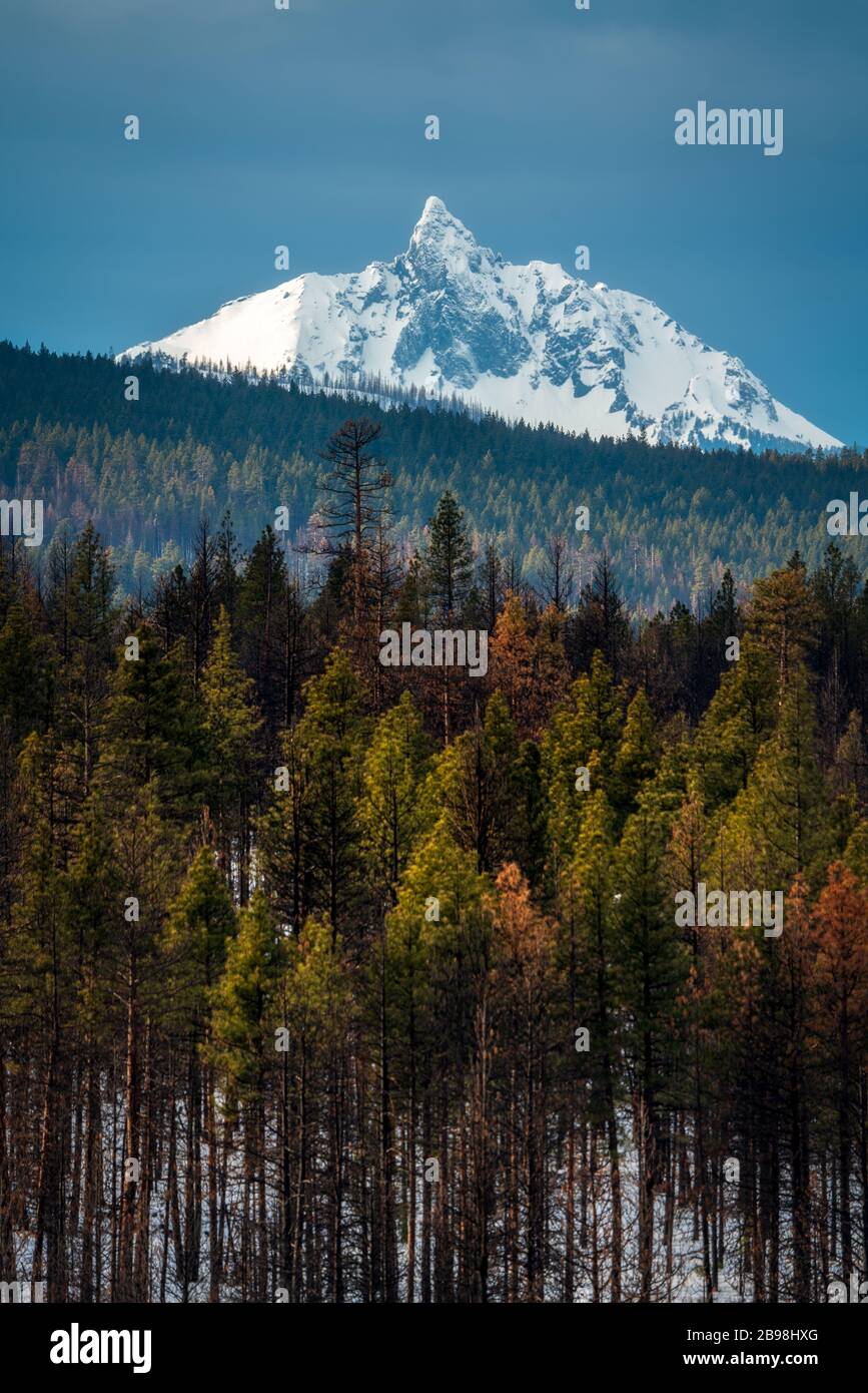 Montagnes de l'Oregon au Mont Washington Banque D'Images