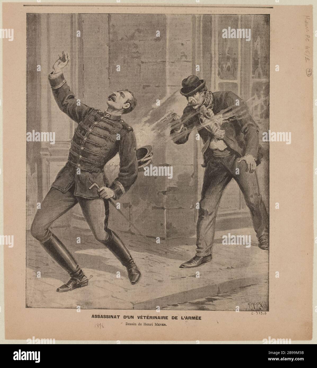 Meurtre de l'armée vétérinaire Banque D'Images