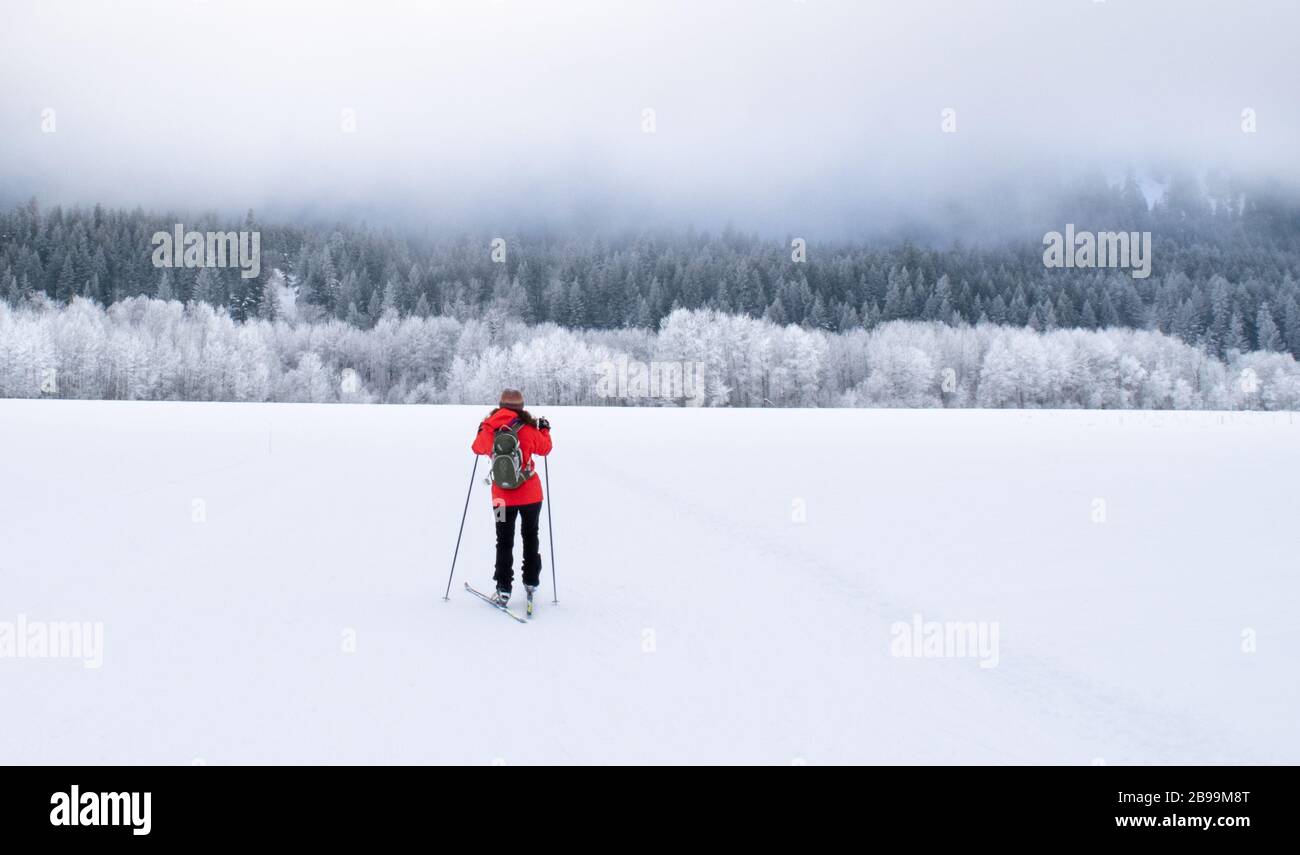 Femme skate ski dans un désert de vin stérile de la vallée de Methow, avec une forêt de pins enneigée au loin - Washington, États-Unis Banque D'Images