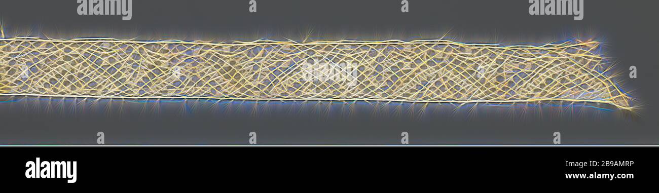 Bande de dentelle avec champs triangulaires et calice de fleur stylisée, Bande de dentelle de couleur naturelle. Le motif répétitif est constituée de deux champs triangulaires en alternance. Un champ est constitué par un bas droit pendaison calice stylisé entre deux feuilles. L'autre champ triangulaire est formé par l'espace entre deux champs avec des fleurs à calice développé. Il y a un plus ou moins en forme d'arbre de Noël motif dans ce domaine. Les motifs sont reliés entre eux par un filet en forme de diamant, la masse d'un forage de grilles, parsemé de square de pochettes. Les dessins sont faits avec des fils de contour épais Banque D'Images