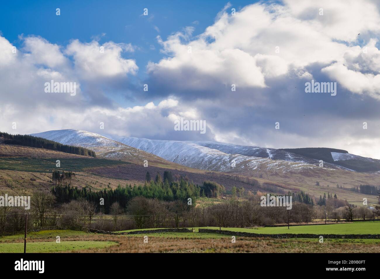 Moffat Dale en fin d'hiver, Dumfries & Galloway, Écosse Banque D'Images