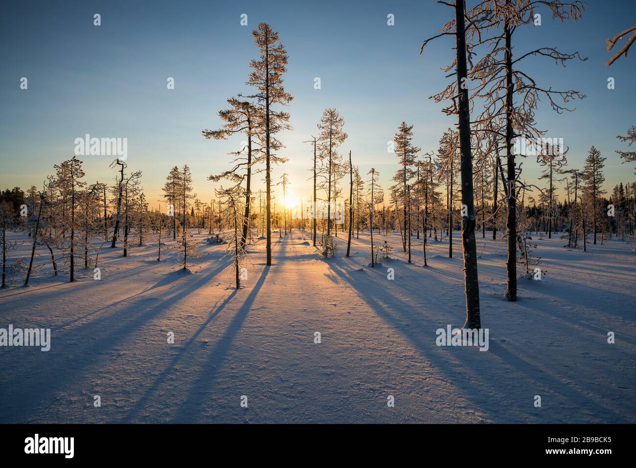 Lever du soleil près de Yllästunturi est tombé, Laponie, Finlande Banque D'Images