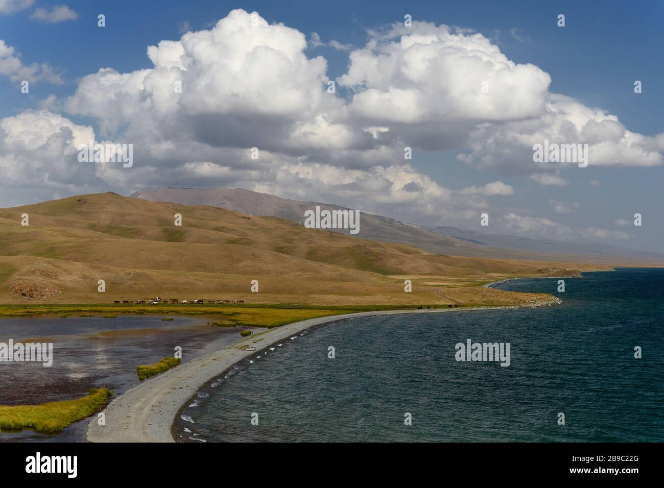 L'incroyable voyage à la plus belle montagne lac - Song-Kol, séjour dans le yourt aux prés, expérience le style de vie nomade Kirghizstan, Central Banque D'Images L'incroyable voyage à la plus belle montagne lac - Song-Kol, séjour dans le yourt aux prés, expérience le style de vie nomade Kirghizstan, Central Banque D'Images
