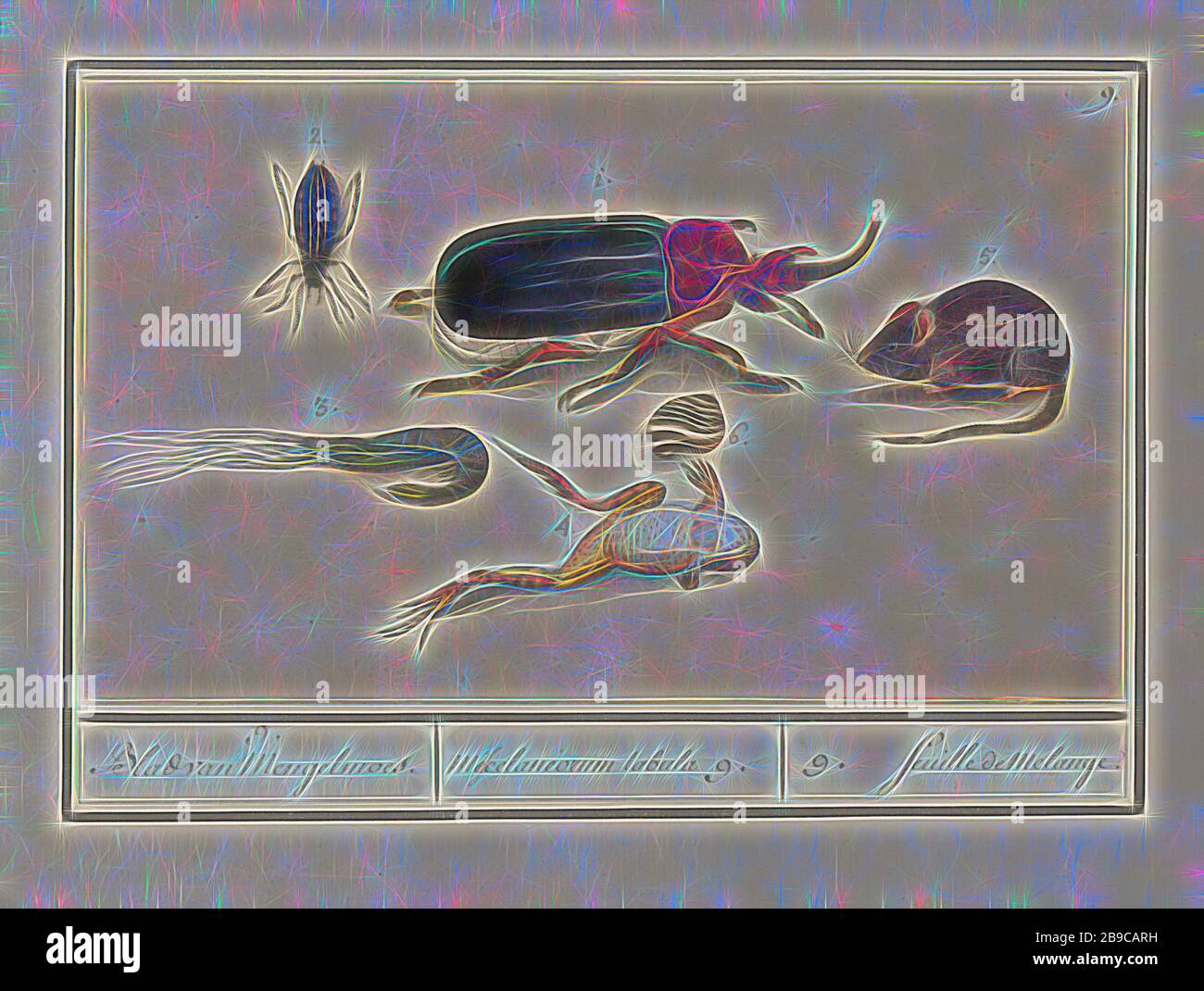 Souris Grenouille Banque De Photographies Et D Images A Haute Resolution Alamy