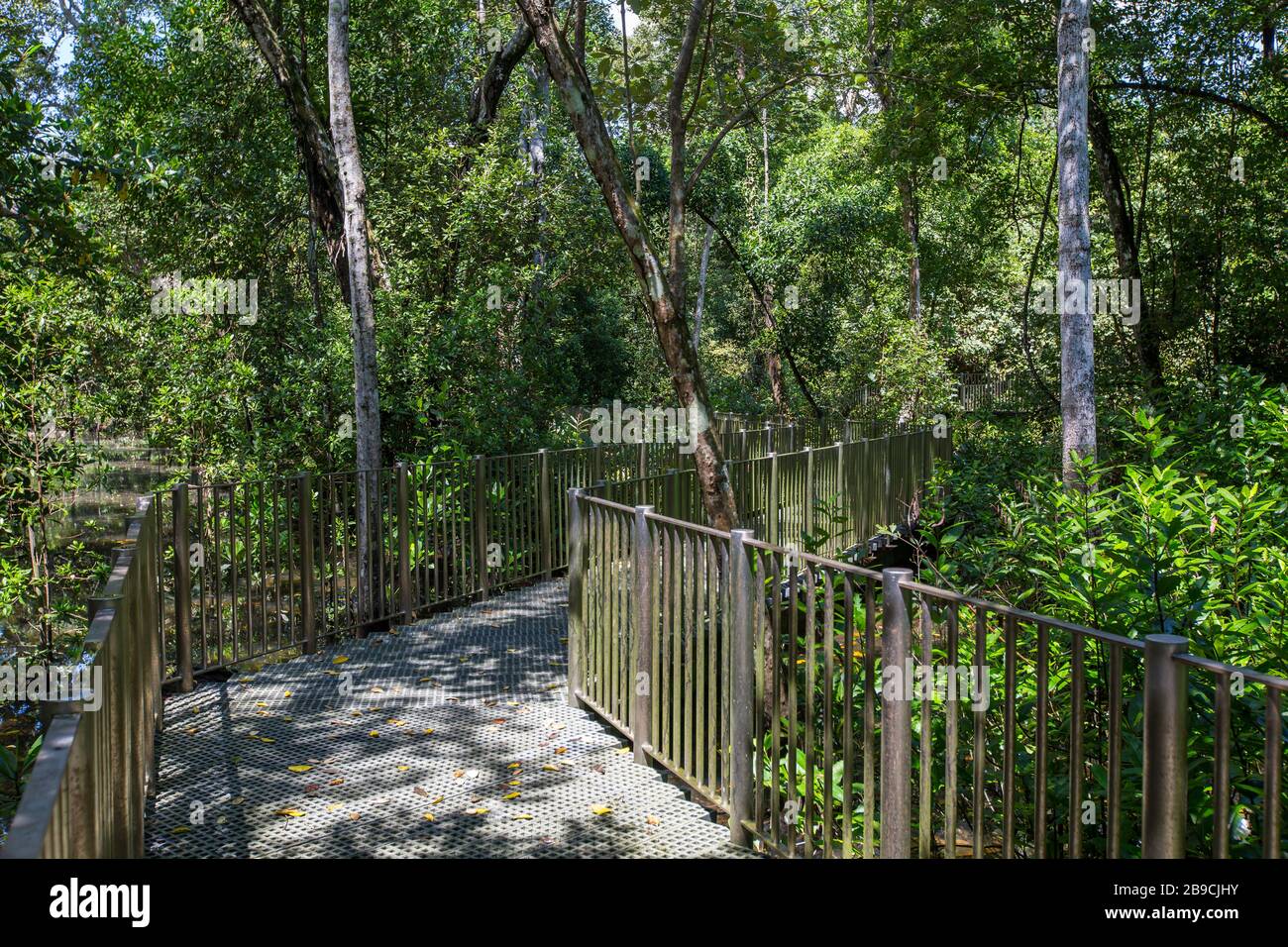 Passerelle avec garde-corps construit dans l'espace verdoyant à Admiralty Park, Singapour. Banque D'Images