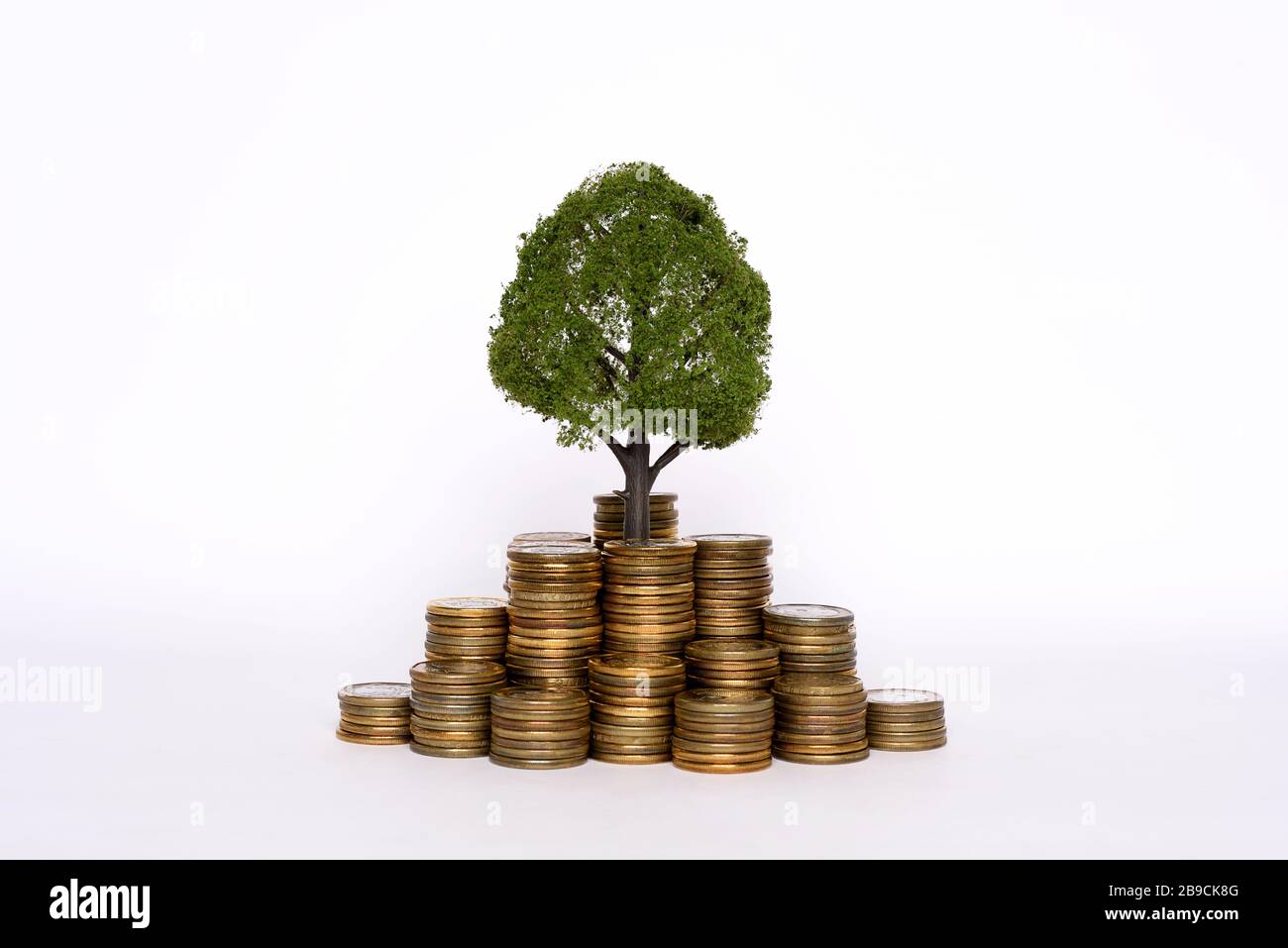 Arbre croissant dans les pièces d'épargne, l'argent, l'épargne Banque D'Images