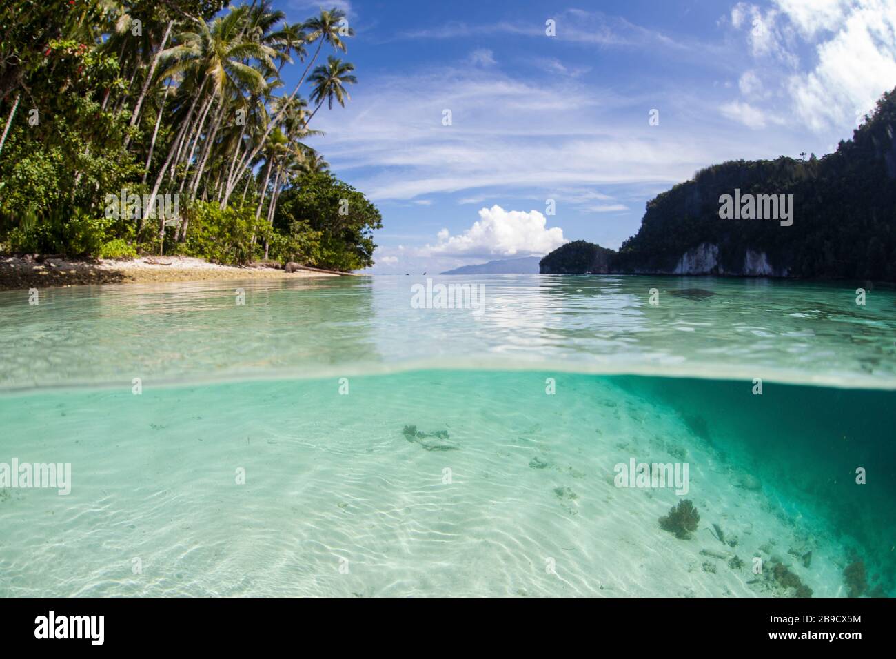 L'eau claire et chaude baigne une île idyllique dans une partie éloignée de Raja Ampat, Indonésie. Banque D'Images