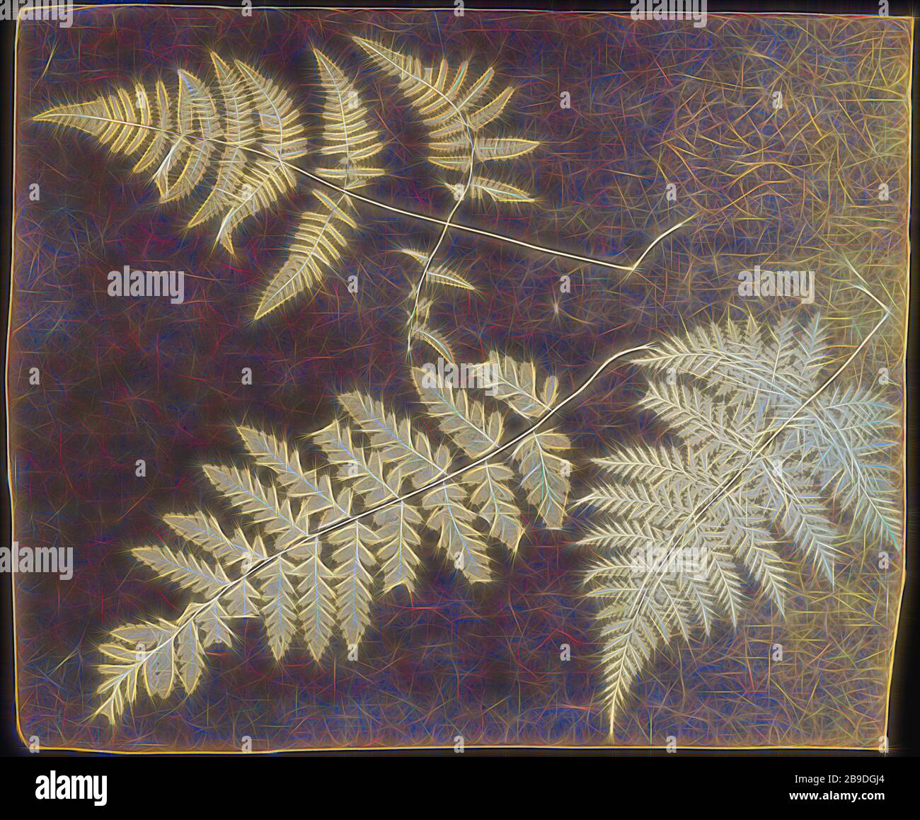 Feuilles de Fern, britanniques, vers 1850?, dessin photogénique, 26,4 × 32,4 cm (10 3,8 × 12 3,4 po, repensé par Gibon, design de glanissement chaleureux et gai de la luminosité et des rayons de lumière radiance. L'art classique réinventé avec une touche moderne. La photographie inspirée du futurisme, qui embrasse l'énergie dynamique de la technologie moderne, du mouvement, de la vitesse et révolutionne la culture. Photo Stock