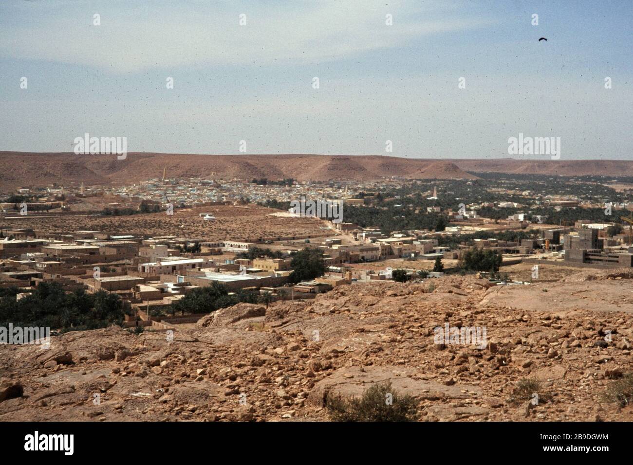 L'oasis ville de Ghardaia à m'zab dans le nord du Sahara. [traduction automatique] Banque D'Images
