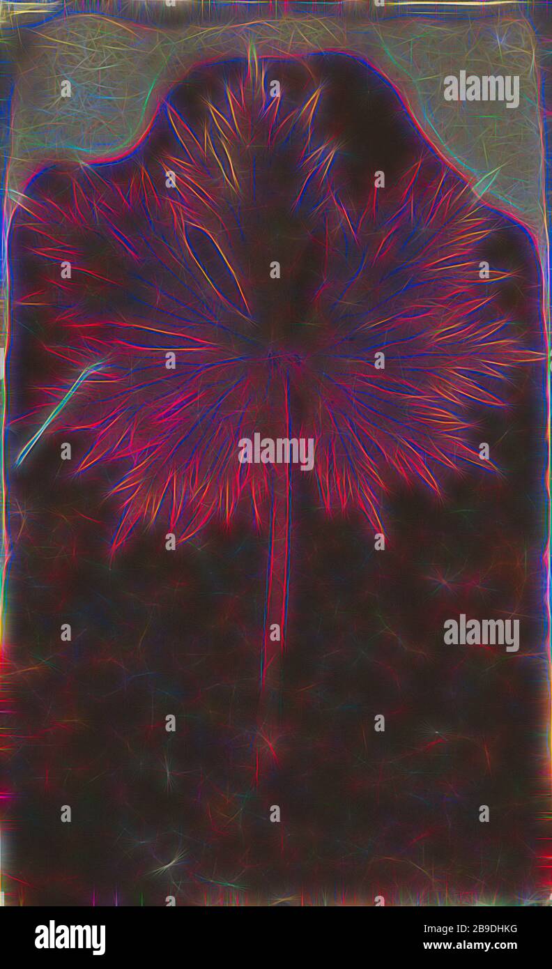 Fronded Leaf, William Henry Fox Talbot (anglais, 1800 - 1877), 1840, photogénique dessin négatif, 18,4 × 11,3 cm (7 1,4 × 4 7,16 po, repensé par Gibon, conception de glanissement chaleureux et joyeux de la luminosité et des rayons de lumière radiance. L'art classique réinventé avec une touche moderne. La photographie inspirée du futurisme, qui embrasse l'énergie dynamique de la technologie moderne, du mouvement, de la vitesse et révolutionne la culture. Photo Stock
