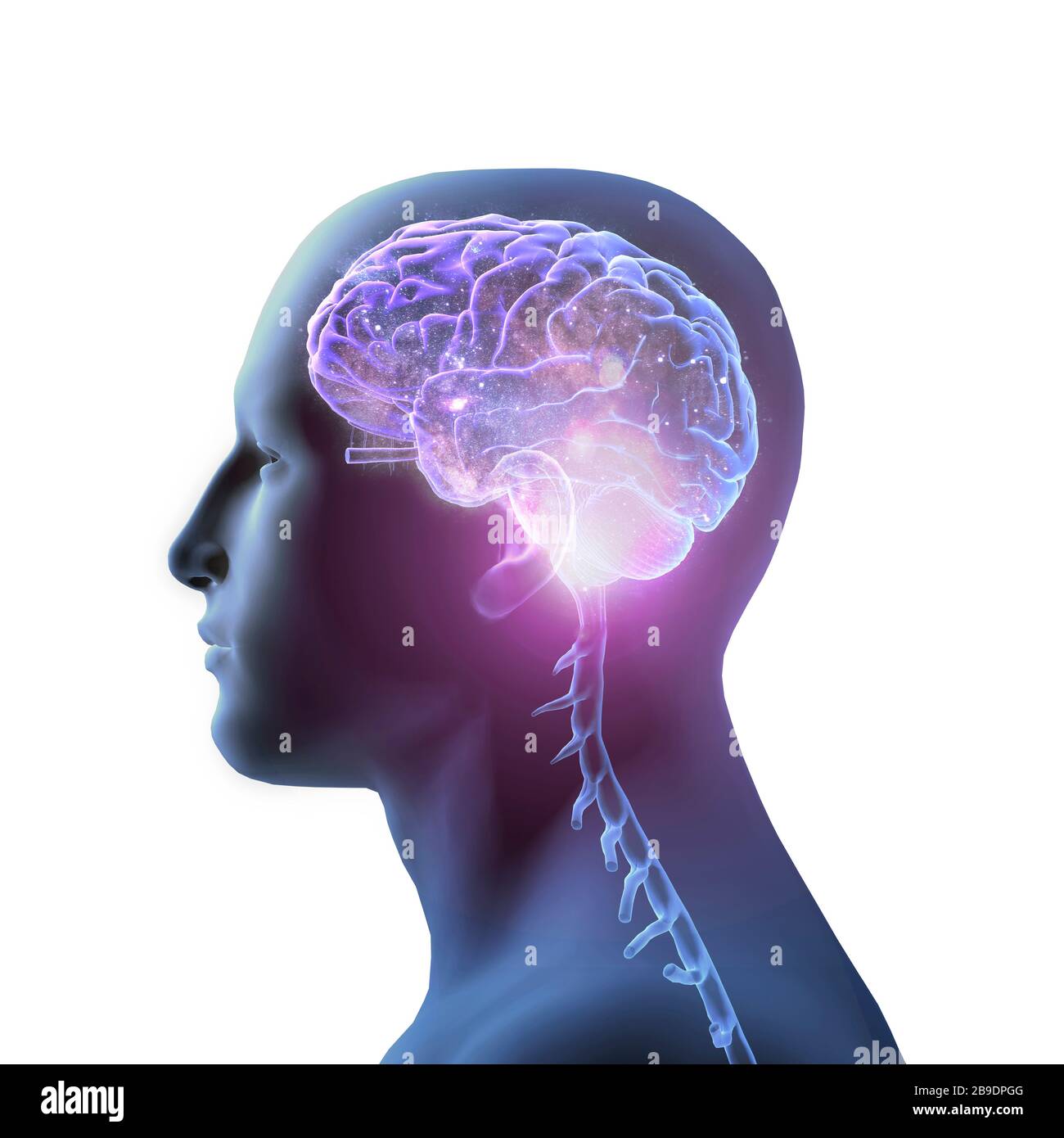 Rendu tridimensionnel du profil de l'homme avec cerveau rempli d'étoiles, sur fond blanc. Banque D'Images