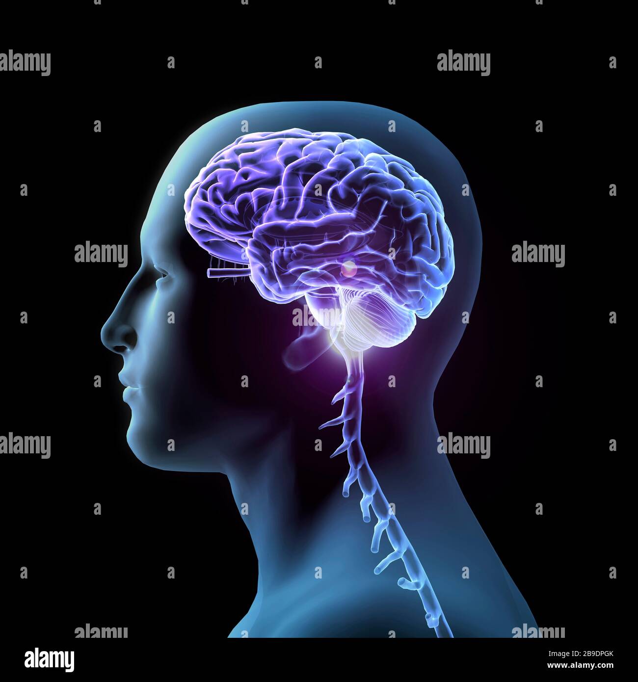 Vue latérale de lâ€™homme avec cerveau et crâne éclairés, fond noir. Banque D'Images