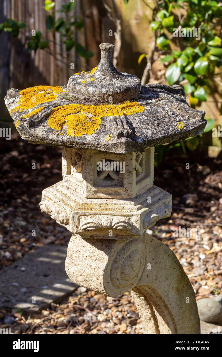 Lichen jaune Sunburst. Xanthortia parietina (Teloschistaceae) sur le dessus d'une lampe de jardin chinoise ornementale en béton Banque D'Images