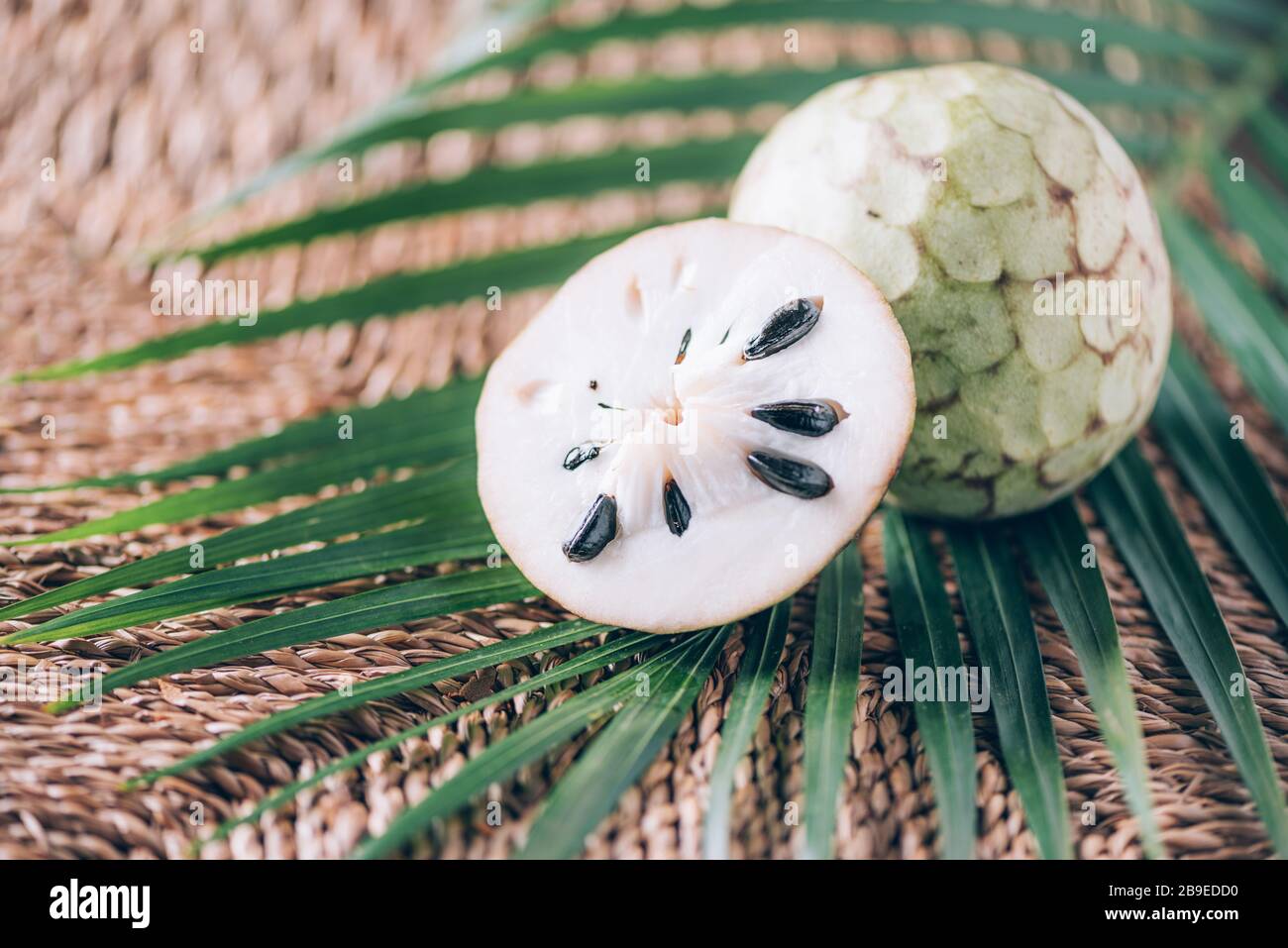Annona muricata ou soursop, graviola et guyabano avec des feuilles de palmier sur fond de rotin. Espace de copie. Bannière de création. Heure d'été. Nourriture exotique, Banque D'Images