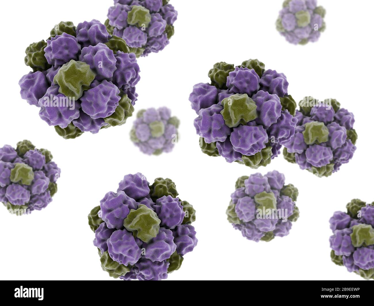 Image conceptuelle du norovirus. Banque D'Images