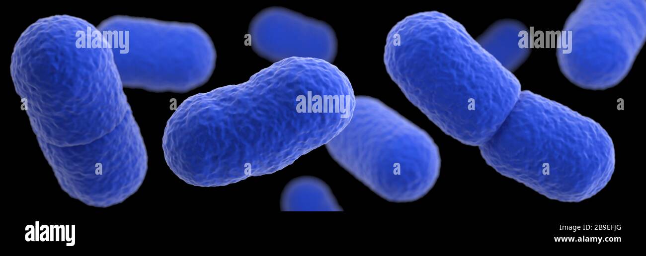 Illustration tridimensionnelle d'un groupement de bactéries Listeria monocytogenes. Banque D'Images