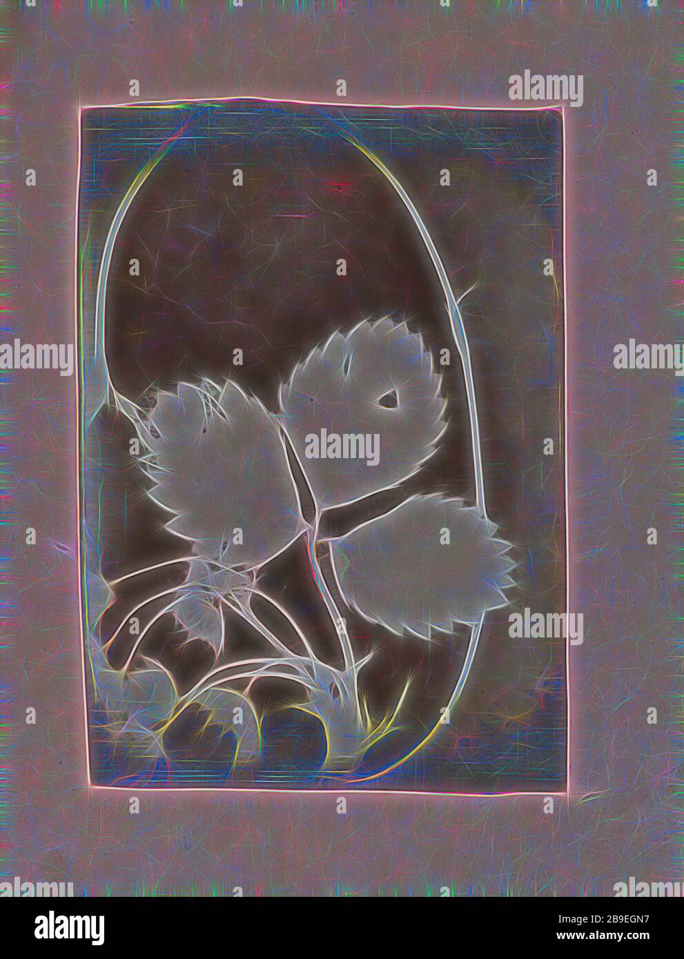 Branche végétale avec feuilles et fleurs, britannique, active Inde vers 1843, Inde, 1843 - 1845, dessin photogénique, 17,3 x 12,2 cm (6 13,16 x 4 13,16 po, repensé par Gibon, conception de glanage chaud et gai de luminosité et de rayons de lumière radiance. L'art classique réinventé avec une touche moderne. La photographie inspirée du futurisme, qui embrasse l'énergie dynamique de la technologie moderne, du mouvement, de la vitesse et révolutionne la culture. Photo Stock