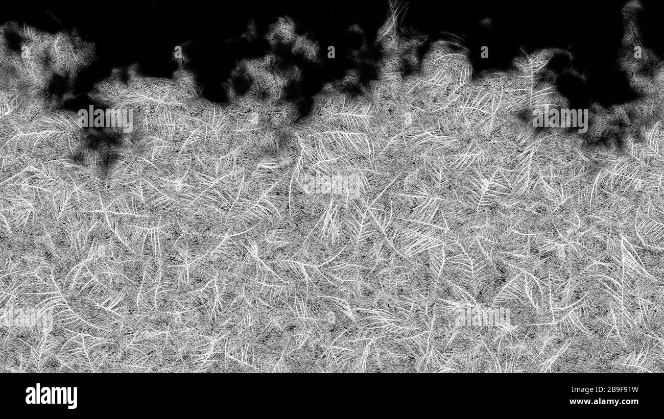 Cadre dépoli Du Bas vers le haut. Motifs givrés sur le verre. Rendu 3D. Banque D'Images