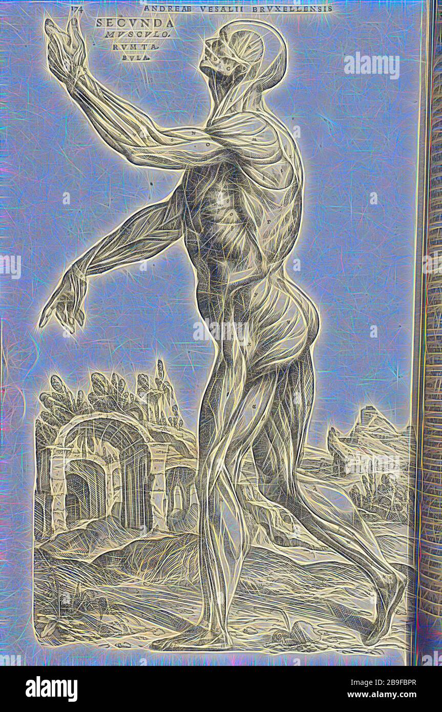 Page 174, Andreae Vesalii Brvxellensis, Scholae medicorum Palauinae professoris, de humani corporis fabricica libri septem, Calcar, Jan Stephan van, 1499-1546?, Vesalius, Andreas, 1514-1564, Woodcut, 1543, Woodcut, repensé par Gibon, design de rayons de lumière gaieté et gai. L'art classique réinventé avec une touche moderne. La photographie inspirée du futurisme, qui embrasse l'énergie dynamique de la technologie moderne, du mouvement, de la vitesse et révolutionne la culture. Banque D'Images