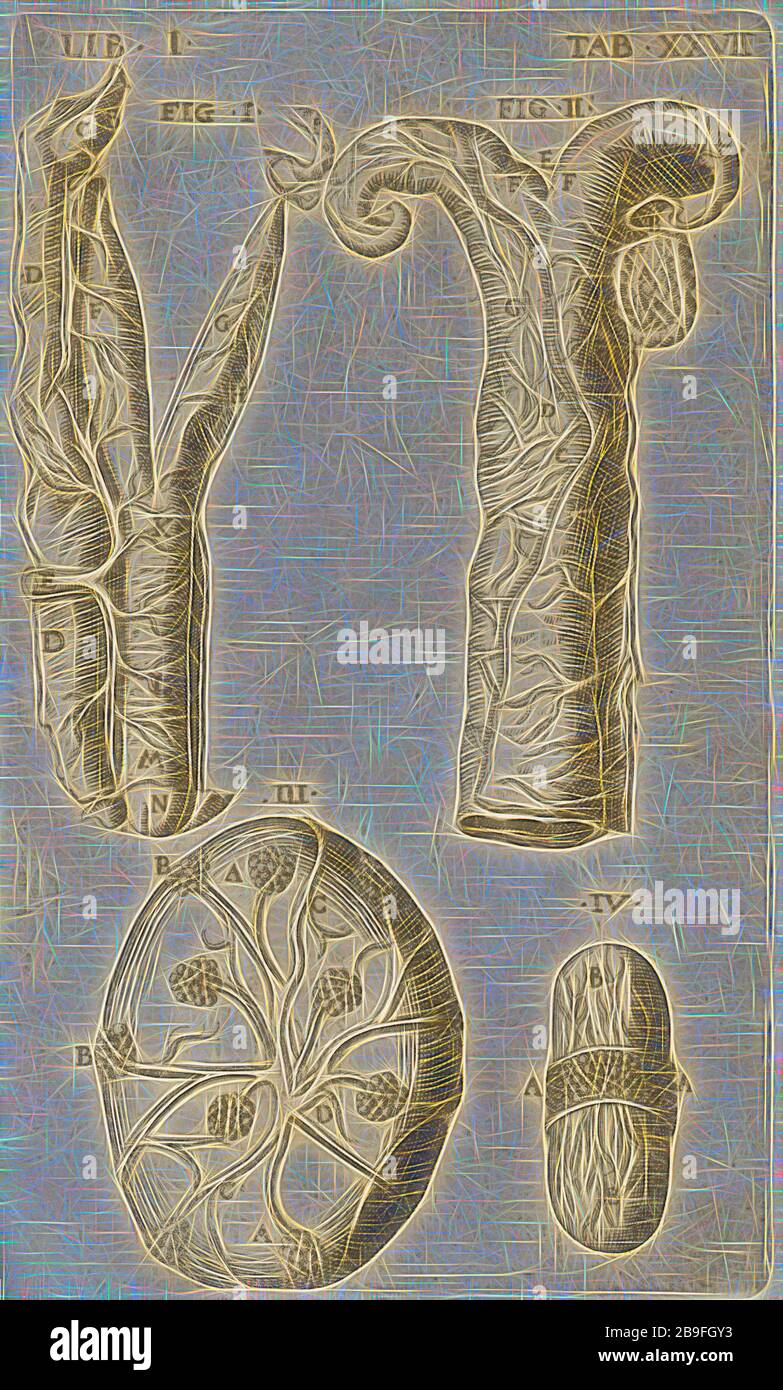 Dissection vue de l'utérus et du tube Fallopien, Caspari Bauhini Basileensis Theatrum anatomicum: novis figuris oeneis illustratum et dans luceem emisem opéra et somptutibus Theodori de Brÿ p. M. relicta viduæ et filiorum Ioannis Theodori et Ioannis Israéliens de Brÿ, Bauhin, Caspar, 1560-1624, Johann Bry d. 1611, Bry, Johann Theodor de, 1561-1623, Gravure, 1605, réinventé par Gibon, design de gai gai chaleureux de luminosité et de rayons de lumière radiance. L'art classique réinventé avec une touche moderne. La photographie inspirée du futurisme, embrassant l'énergie dynamique de la technologie moderne, du mouvement, Banque D'Images