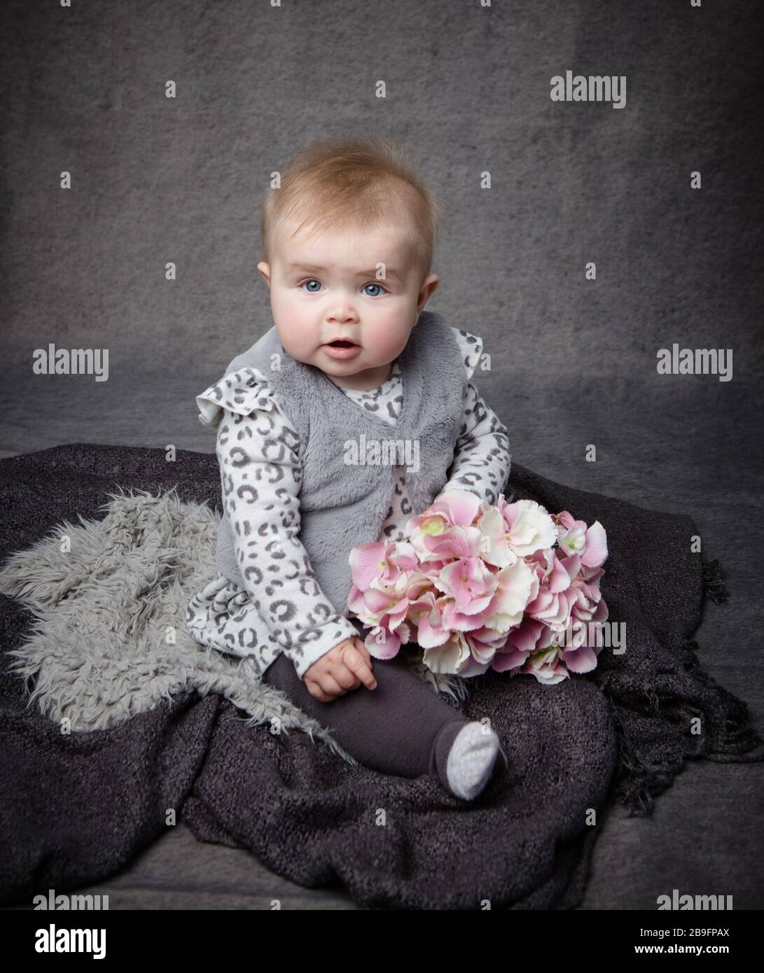 Petite fille bébé tot assis debout oon un fond de studio tenant des fleurs d'hortensia Banque D'Images