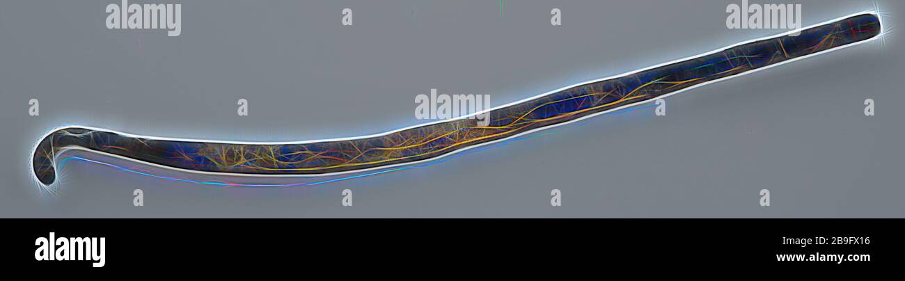 Strip laiton, plié et fourni avec crochet, artefact sol trouvé laiton cuivre métal, fonte Strip laiton une forme incurvée à une extrémité avec crochet archéologie Rotterdam City triangle Pakkenbrug New Haven découverte du sol Nieuwe Haven entre les piles de la tête de pont nord du Pakkenbrug Banque D'Images