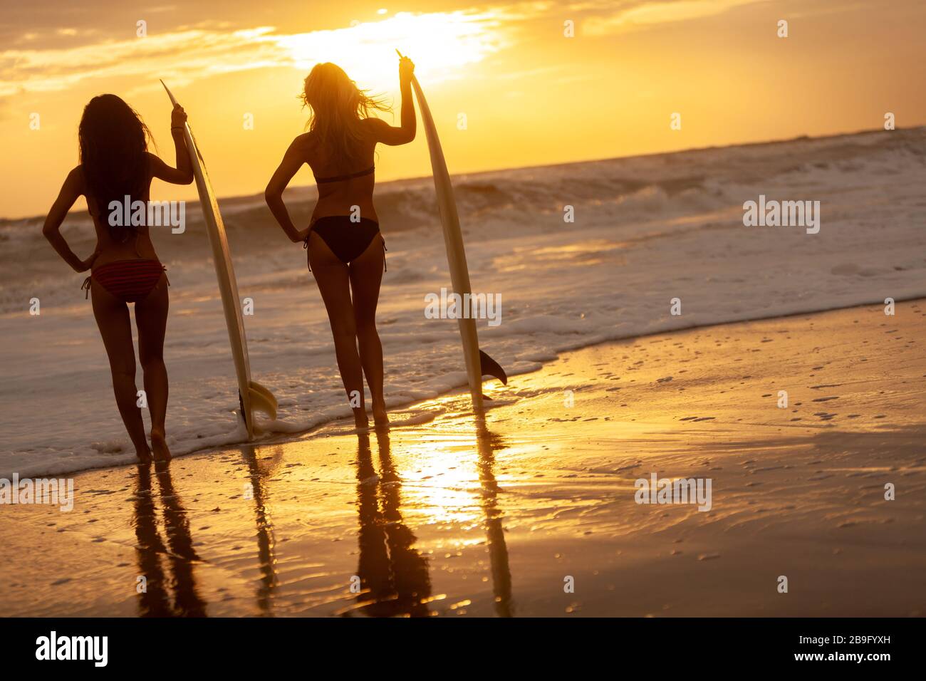 Vue arrière de deux belles jeunes femmes sexy surfer girls en bikini blanc  avec des planches sur une plage au coucher et au lever du soleil Photo  Stock - Alamy